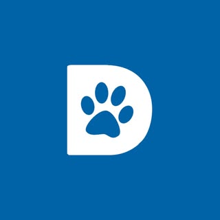 Dallas Pets Alive