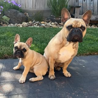 Louis V and Miss Coco