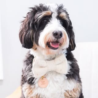 M I L O • Mini Floof