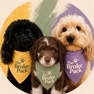 Maple, Monkey & Remy