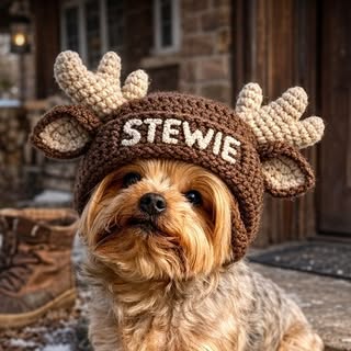 STEWIE