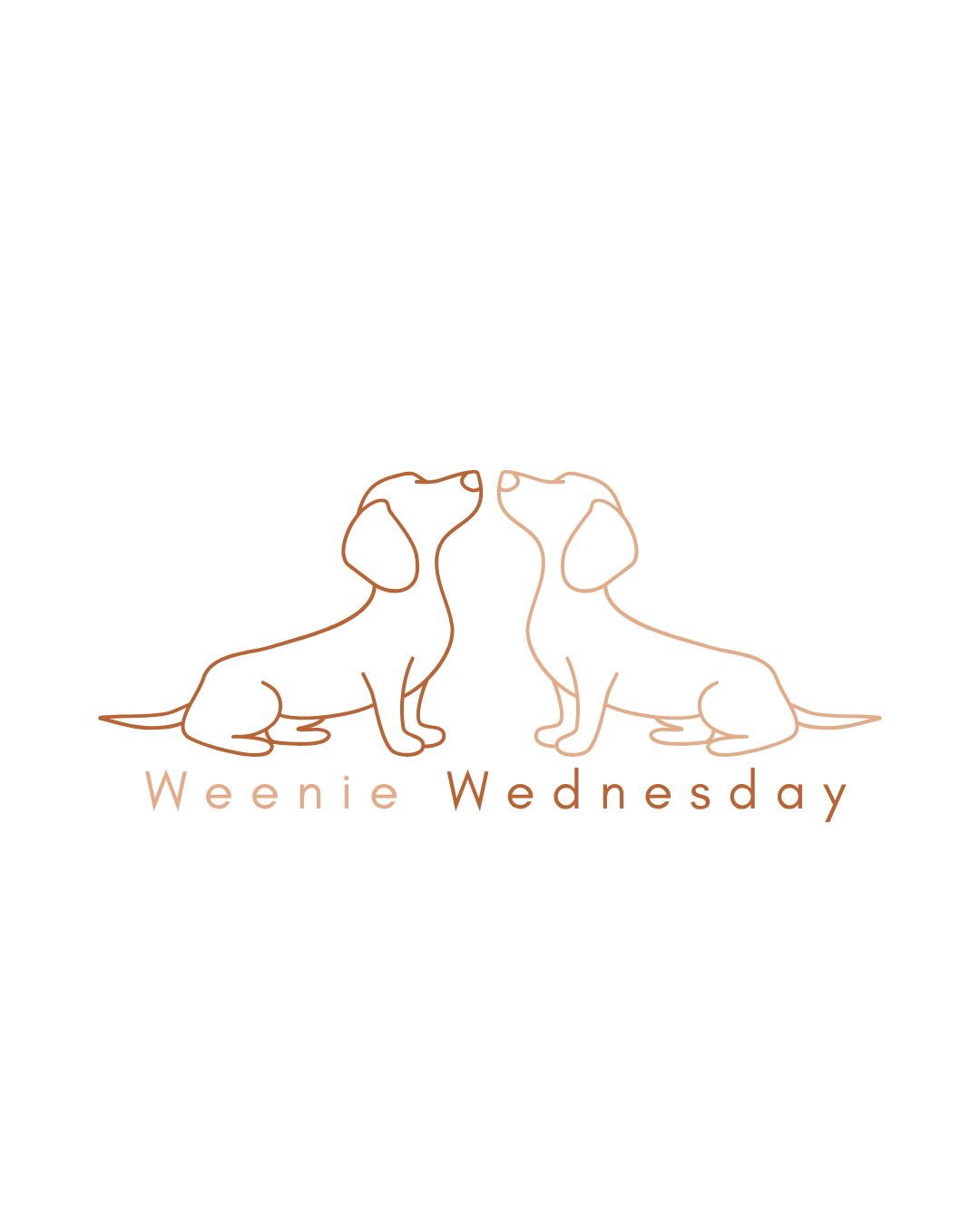 Rari - Unleashed K9 Academy