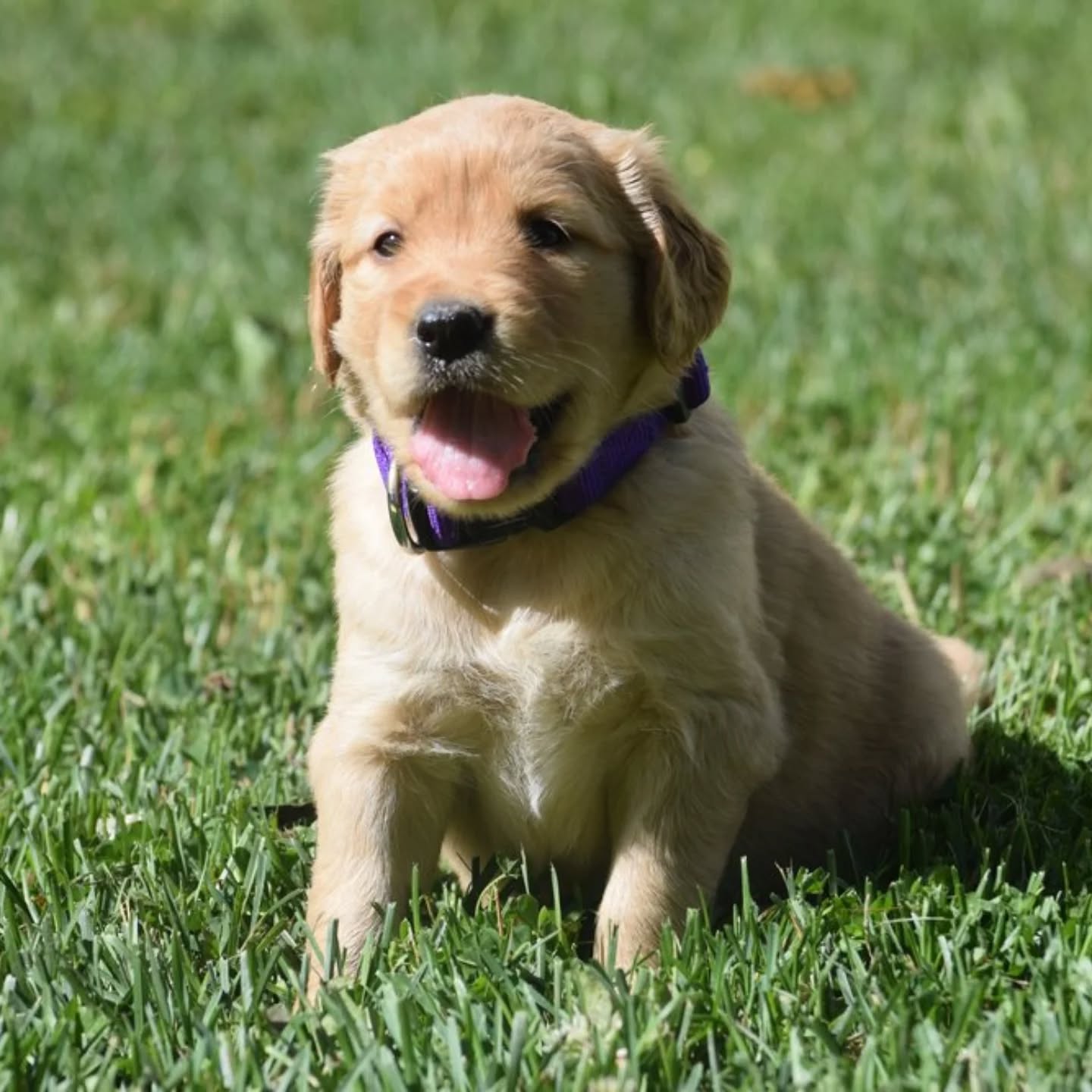 Trabalhos de exemplo