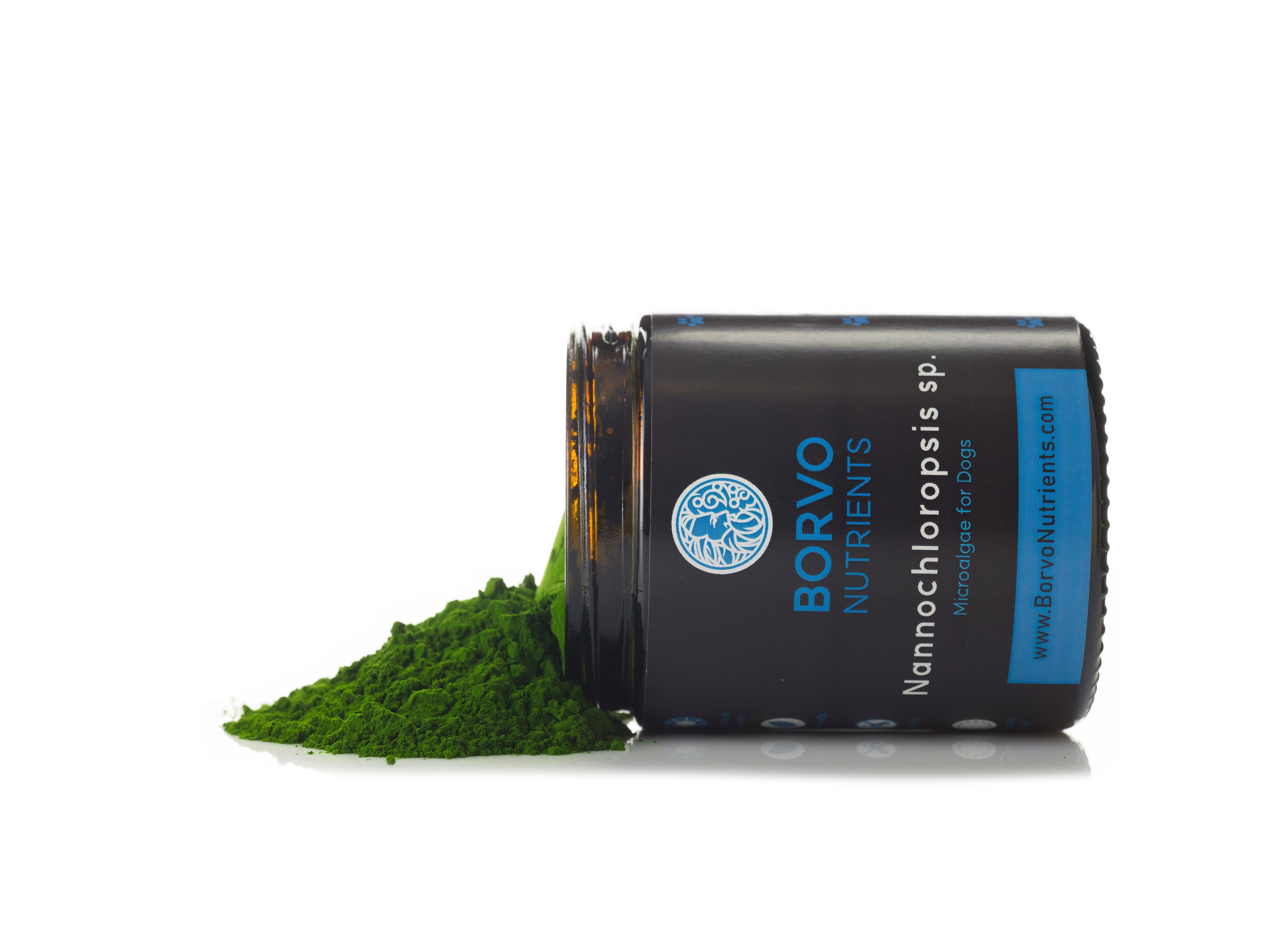 Nannochloropsis Microalgae for Dogs
