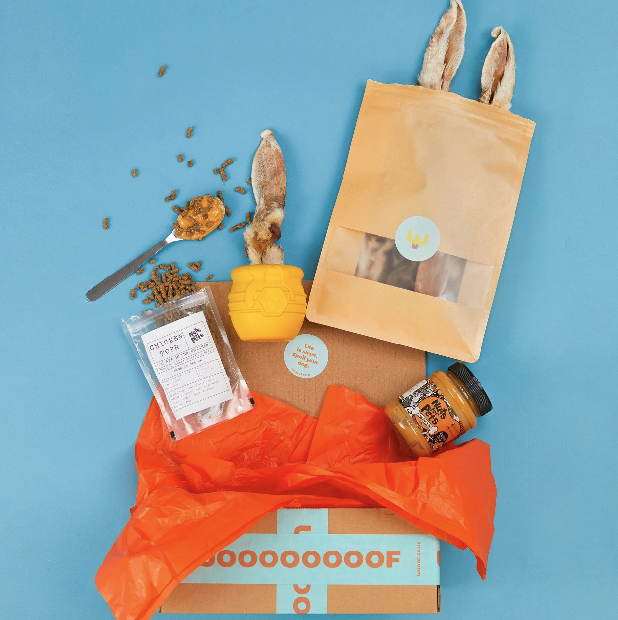 The "Un-Bee-Lievable" Enrichment Gift Bundle for Dogs