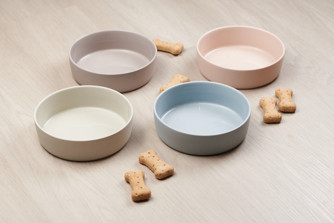Dog Bowl