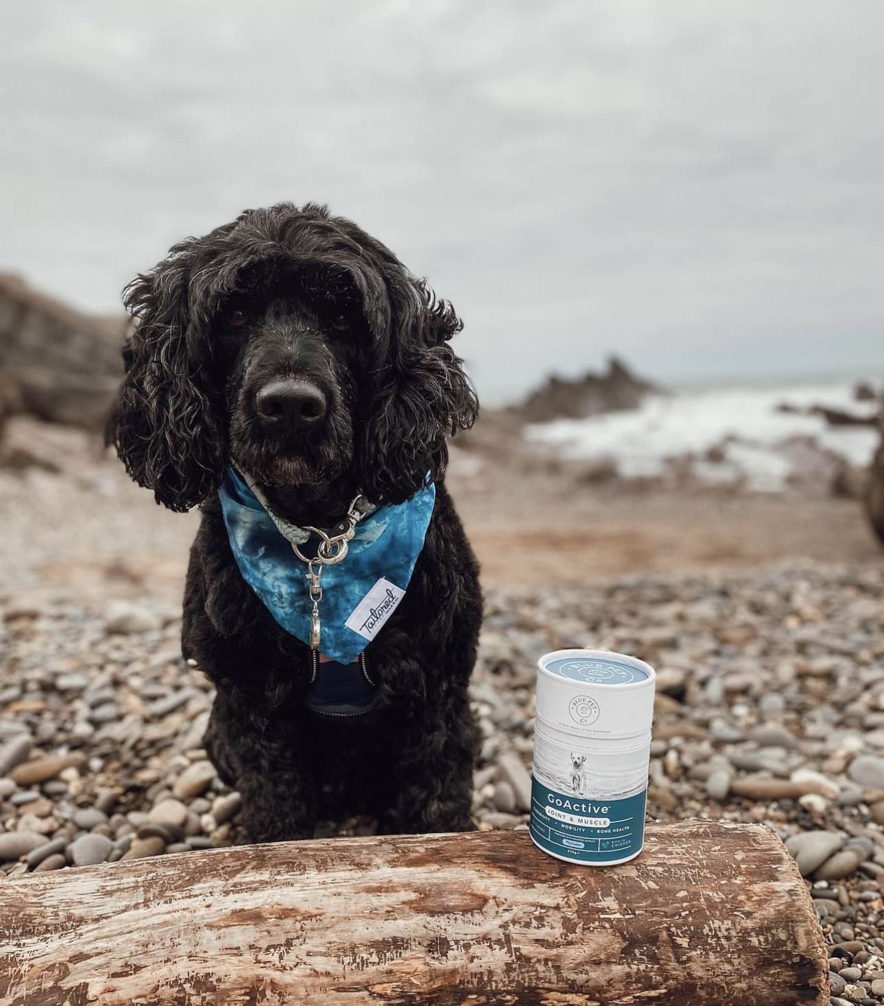 GoFetch - Trial Pack