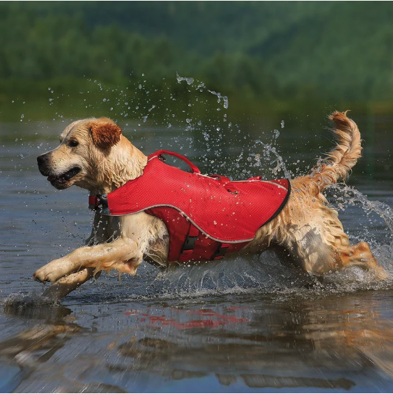 Surf n Turf Dog Life Jacket