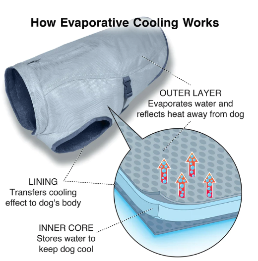 Dog Core Cooling Vest