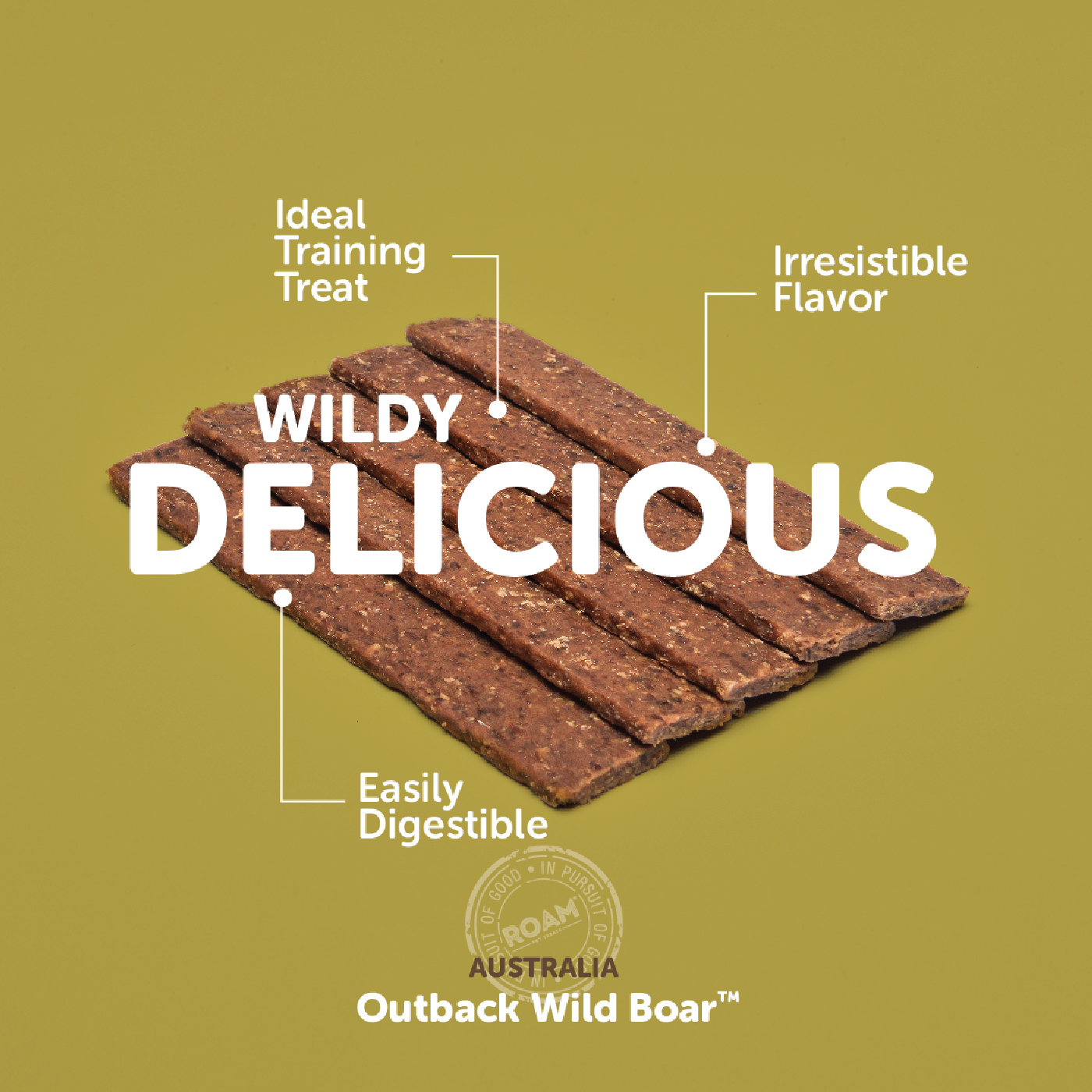 Wild Boar Jerky Trial Size 1 Count - Outback Wild Boar™