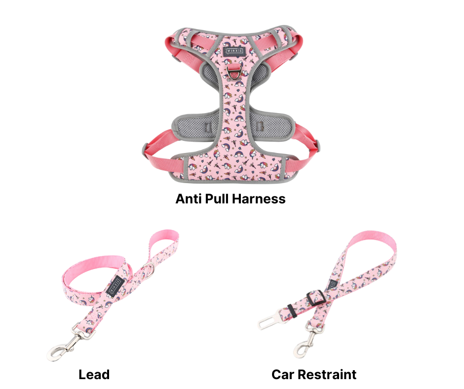 Winxie Harness Set