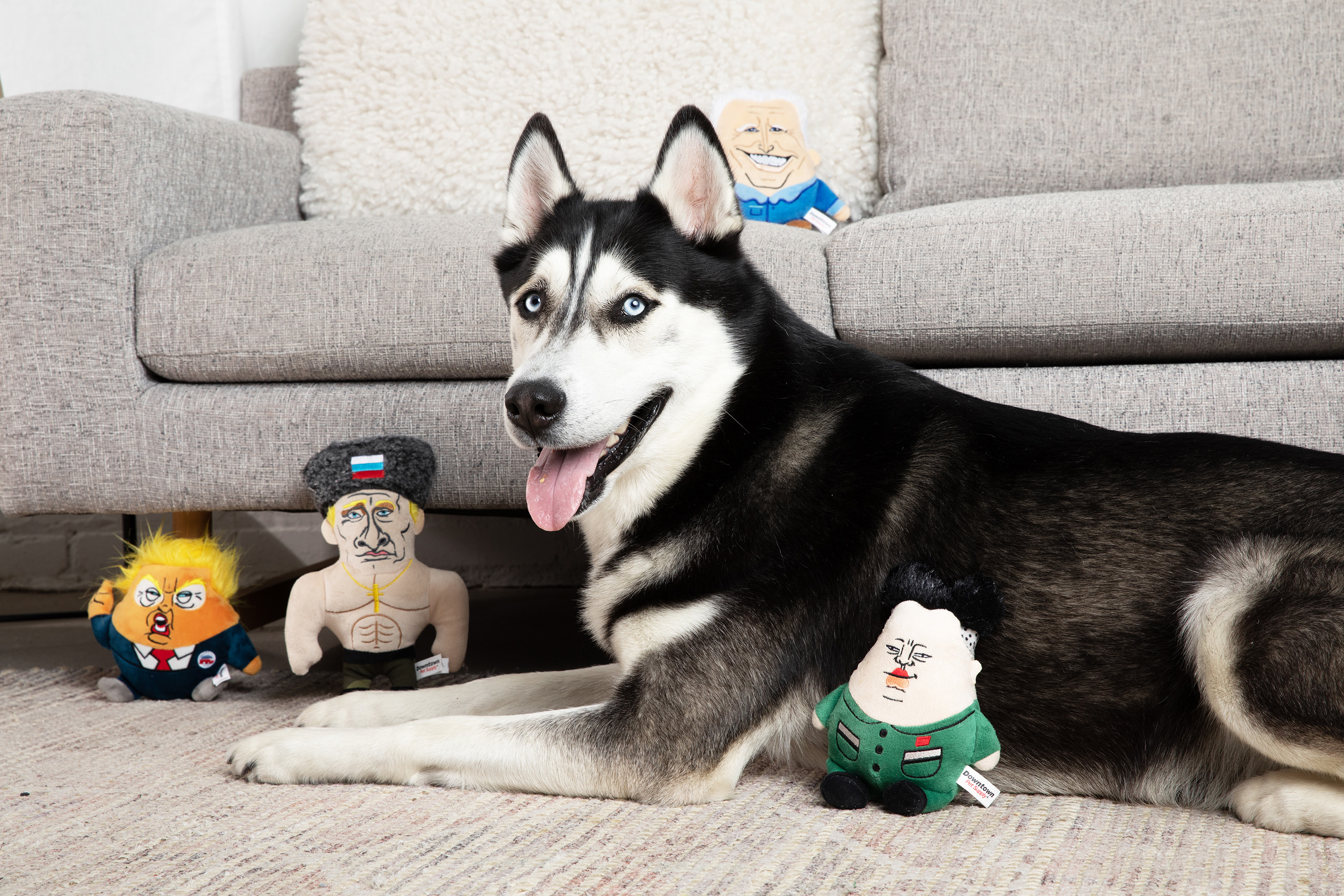 Political Dog Toys