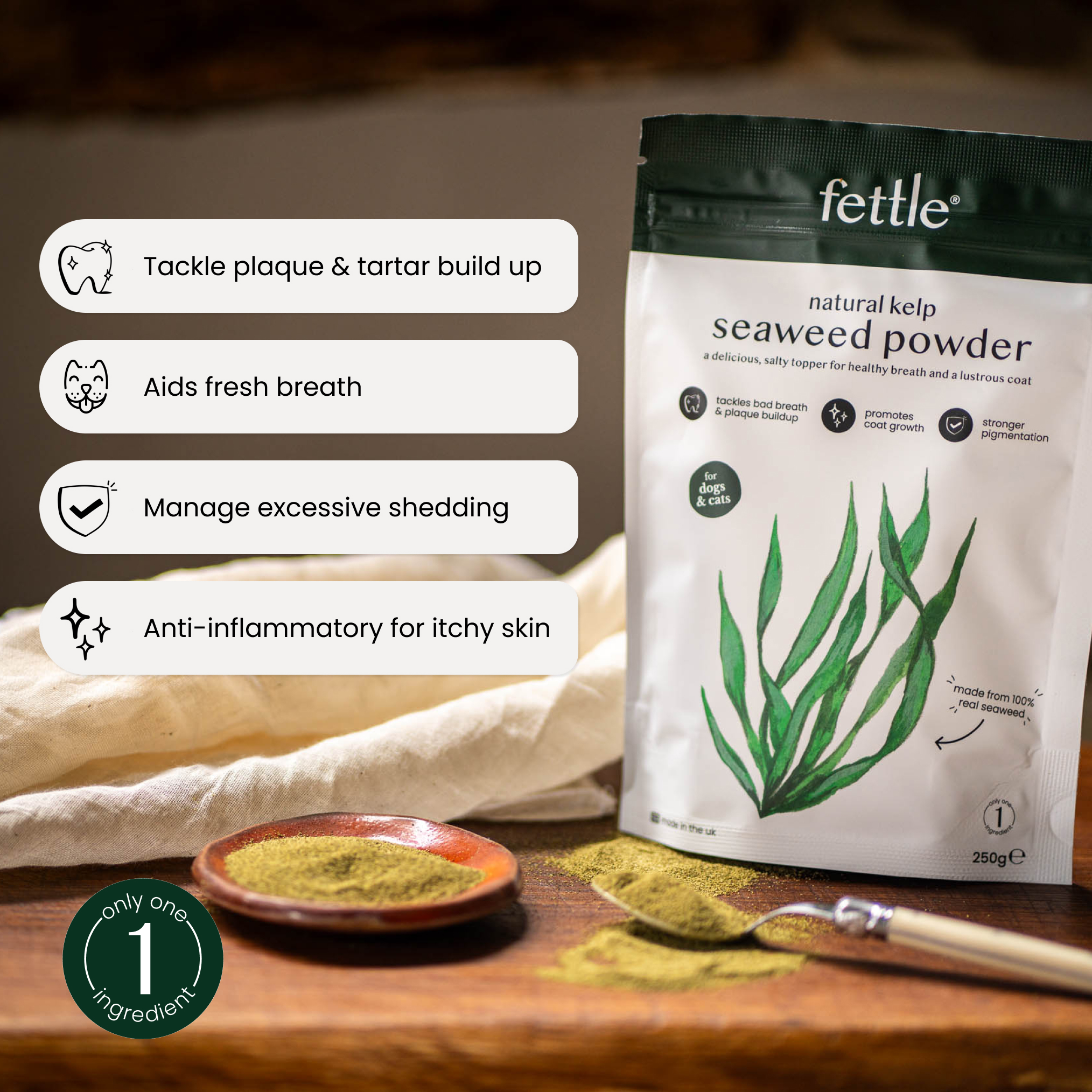 kelp seaweed powder