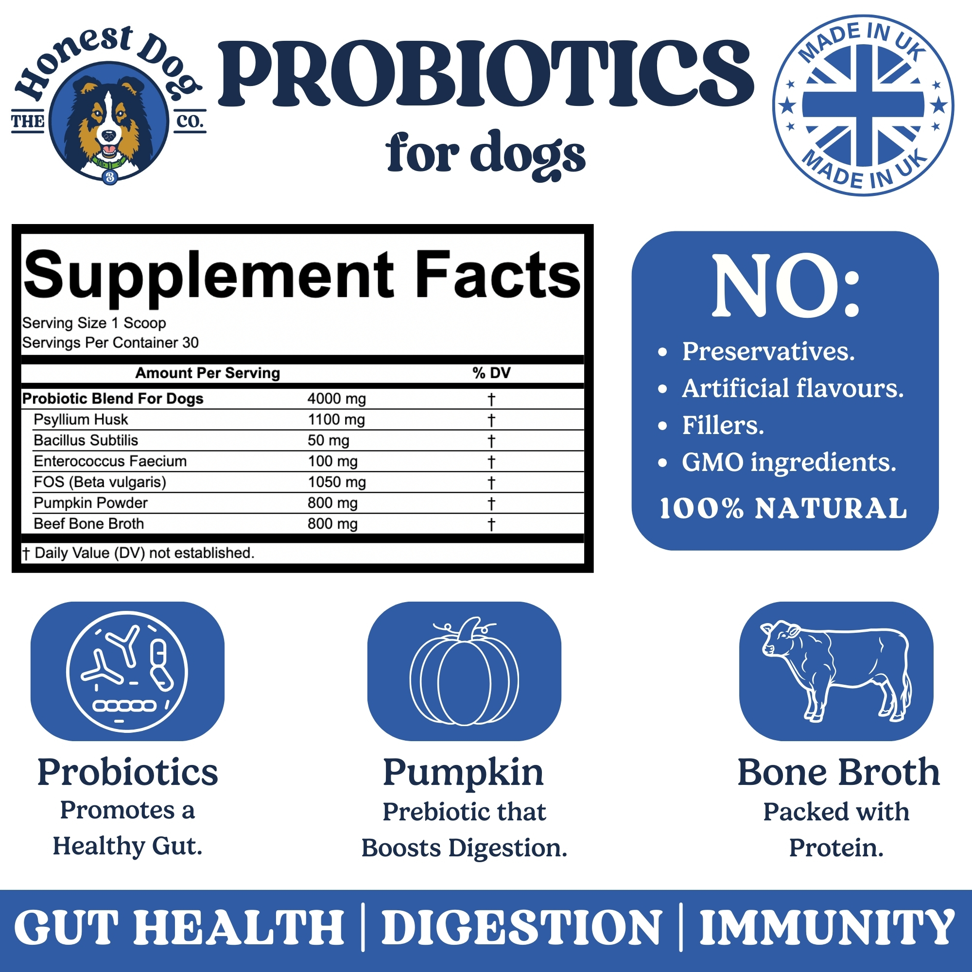 Honest Dog Co. Probiotics for Dogs (120 Grams) - Gut Health & Digestion - 6 Billion CFU - Vet Formulated Probiotic Powder - Prebiotics and Probiotics - Beef Bone Broth Flavour - Made in UK