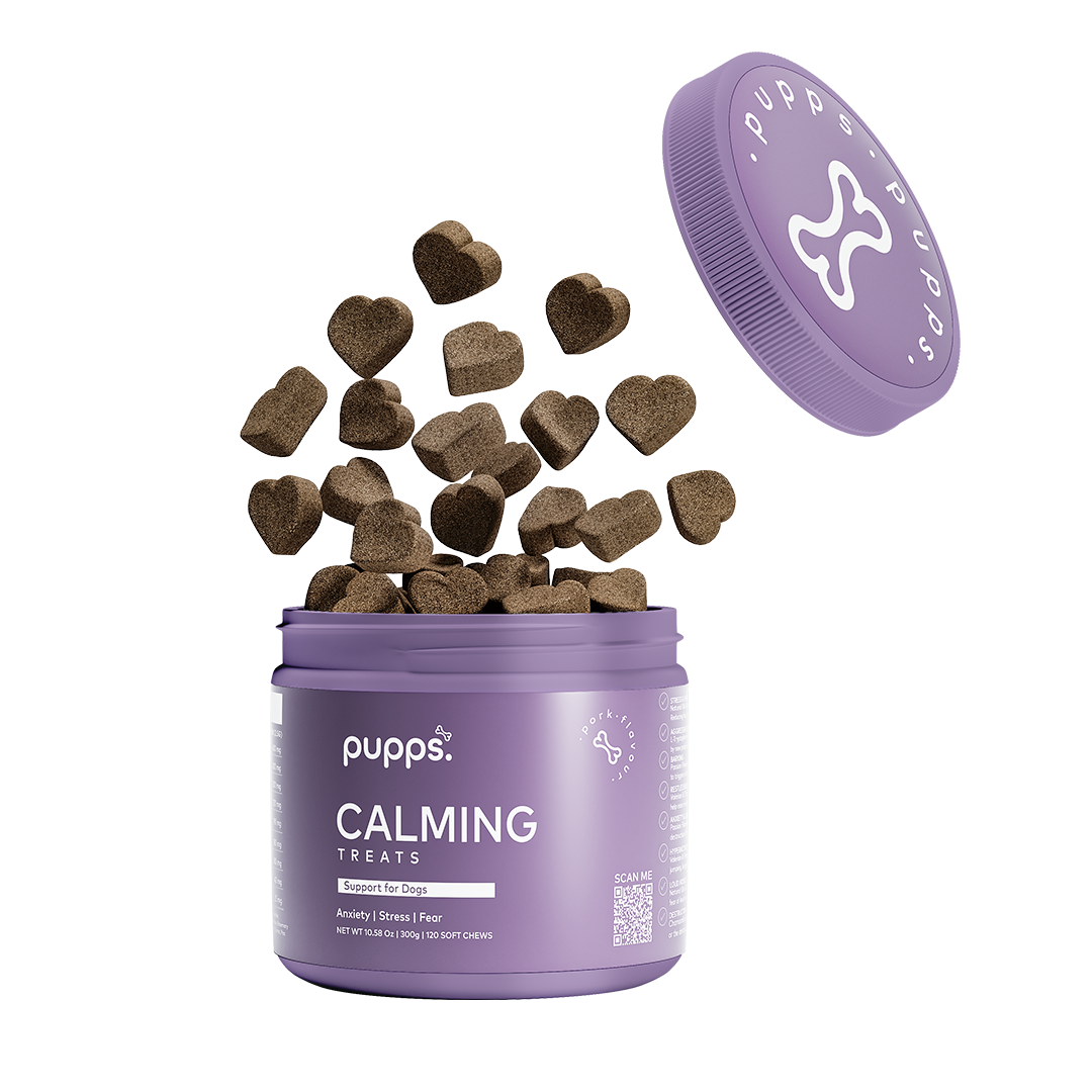 Calming & Anxiety Treats