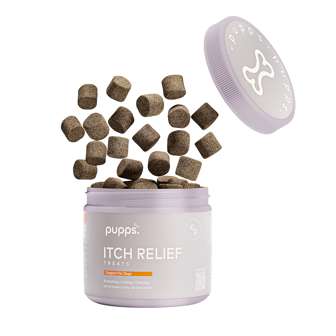 Itch & Allergy Relief Treats