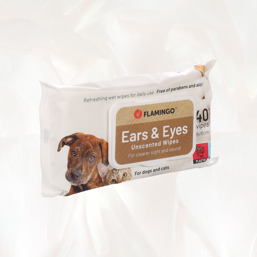 Cleaning Wipe for eye & Ear Reini