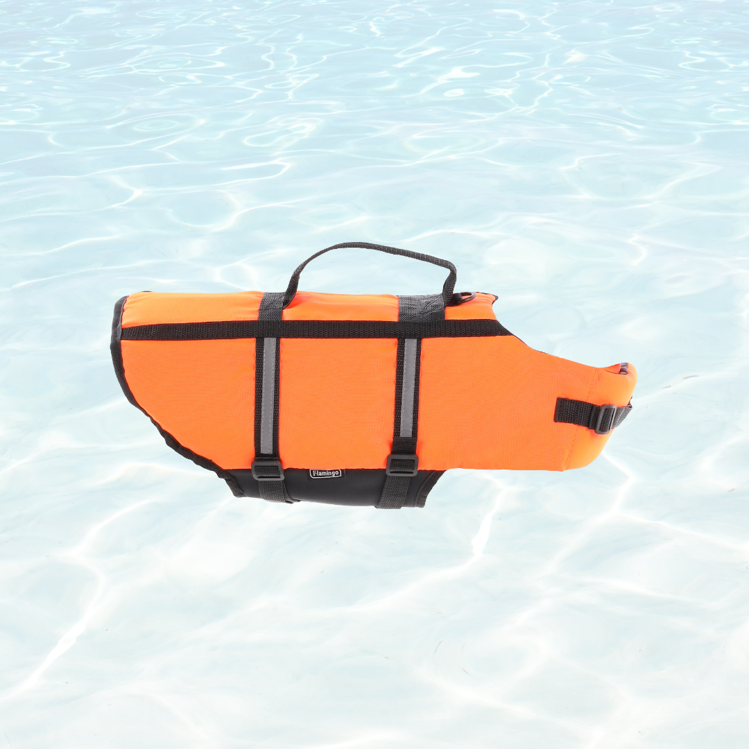 Swimming Vest Marinus