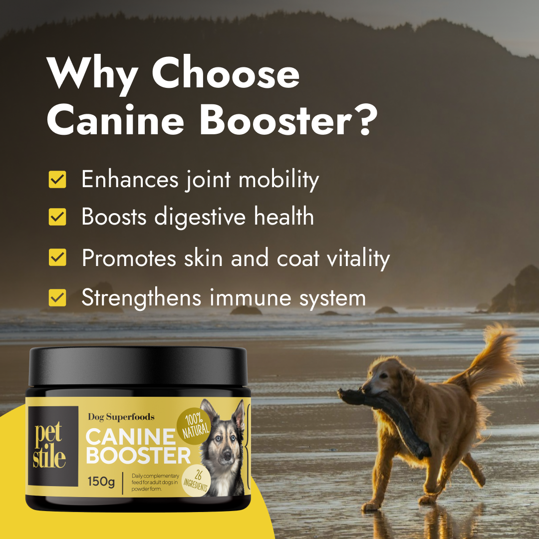 Canine Booster