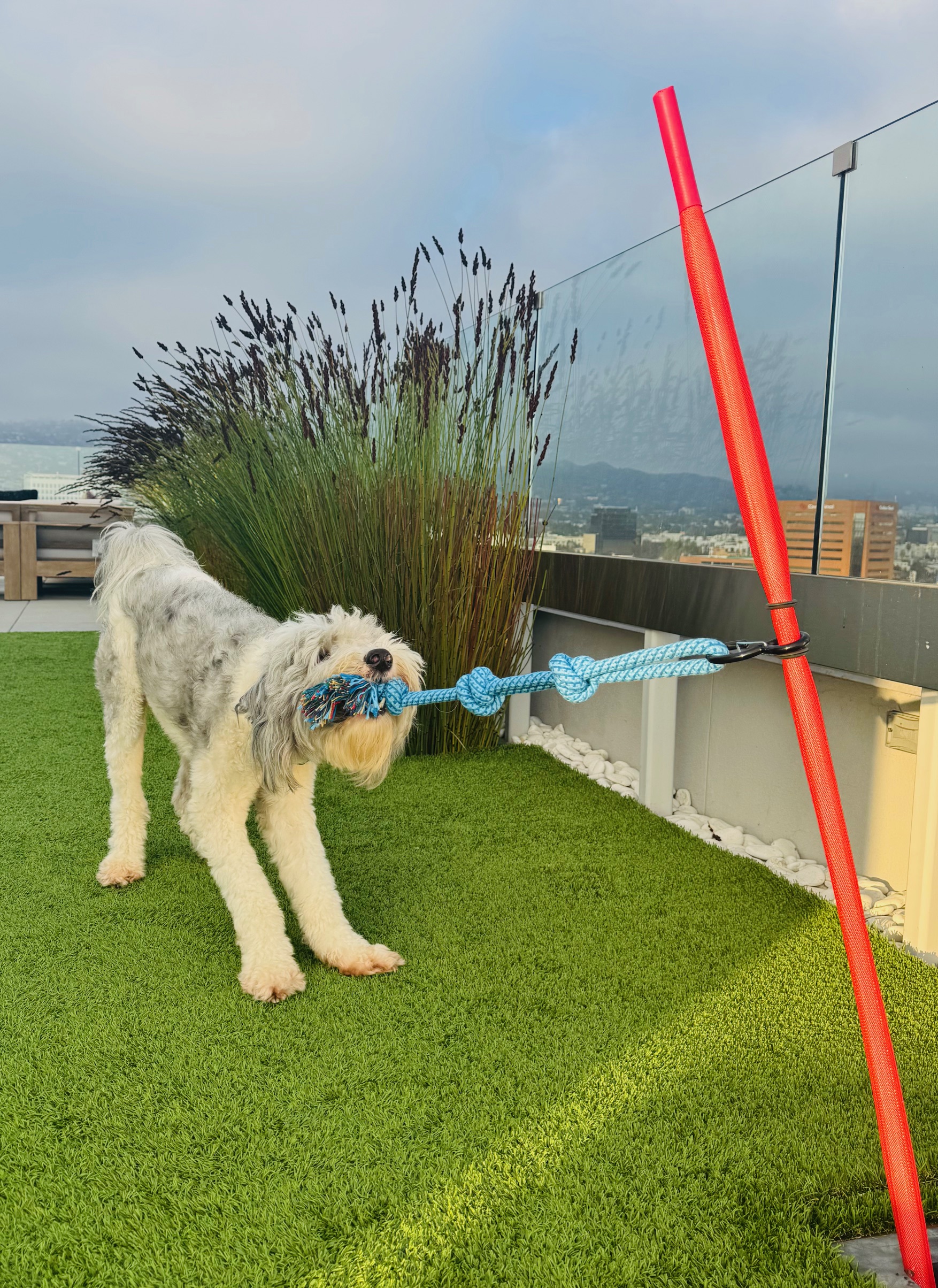 Outdoor Tug Pole with Rope, Ball, Tire, Treats Package