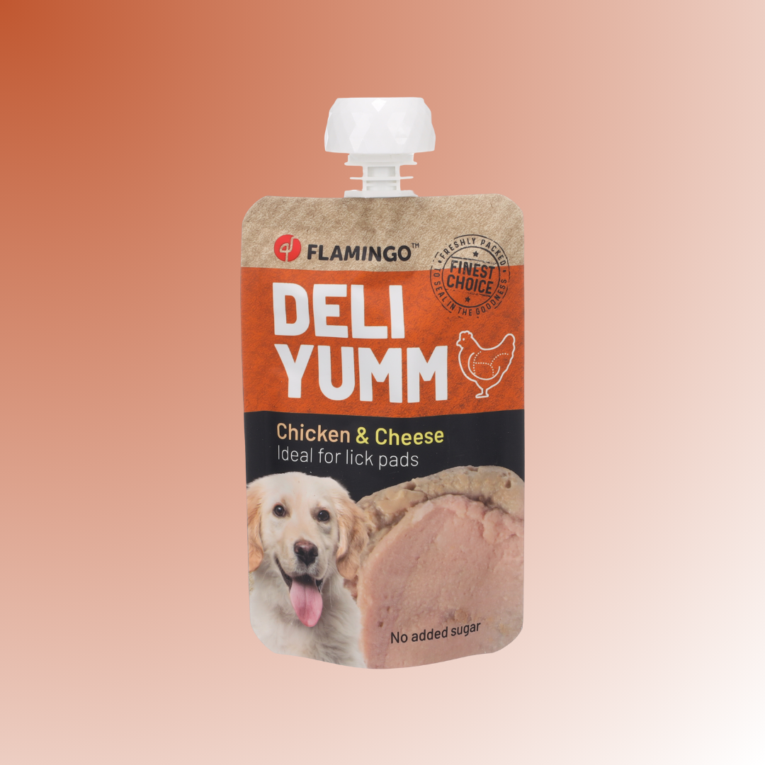 Snacks Deli Yumm Paste with Chicken & Cheese