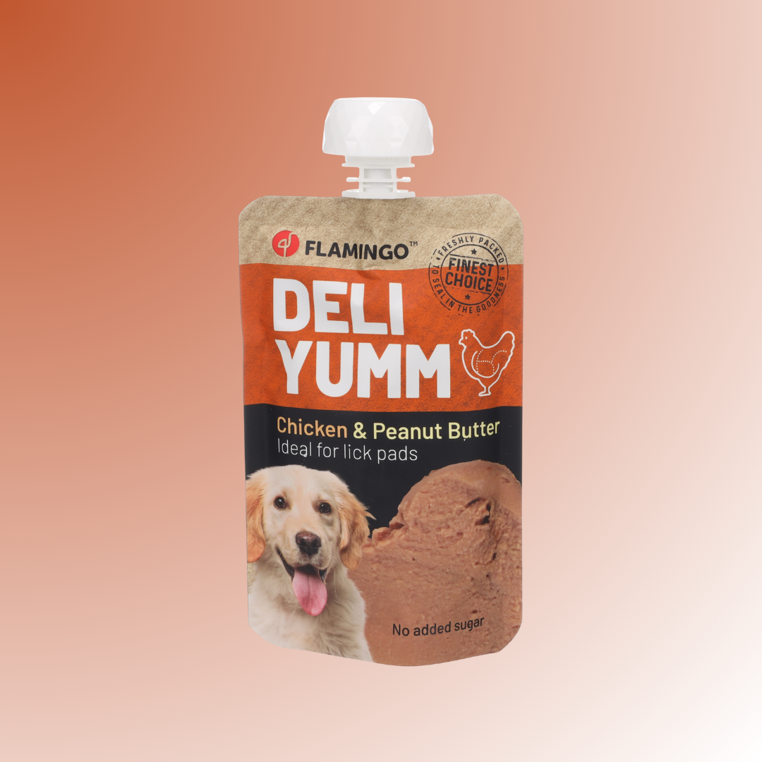 Snacks Deli Yumm Paste with Chicken & Peanut Butter