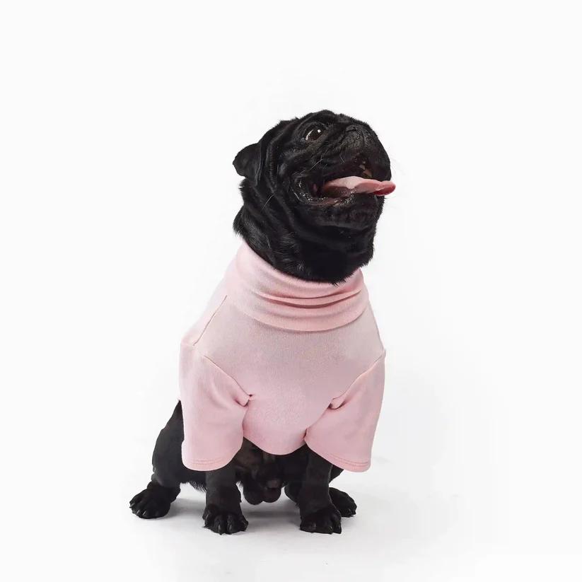 Best Buddy Shirt - Mint Green