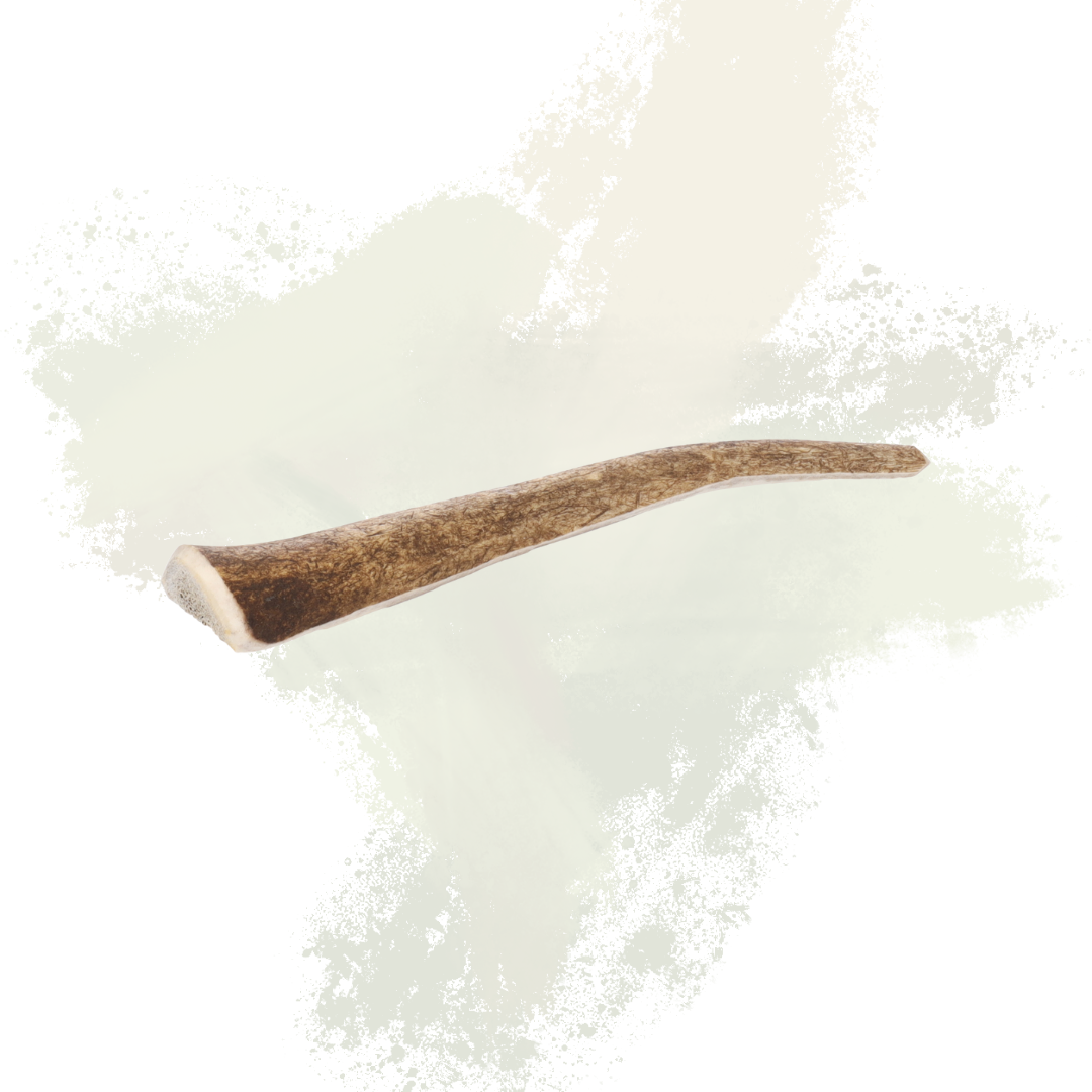 Snacks Nature Deer Antlers Easy