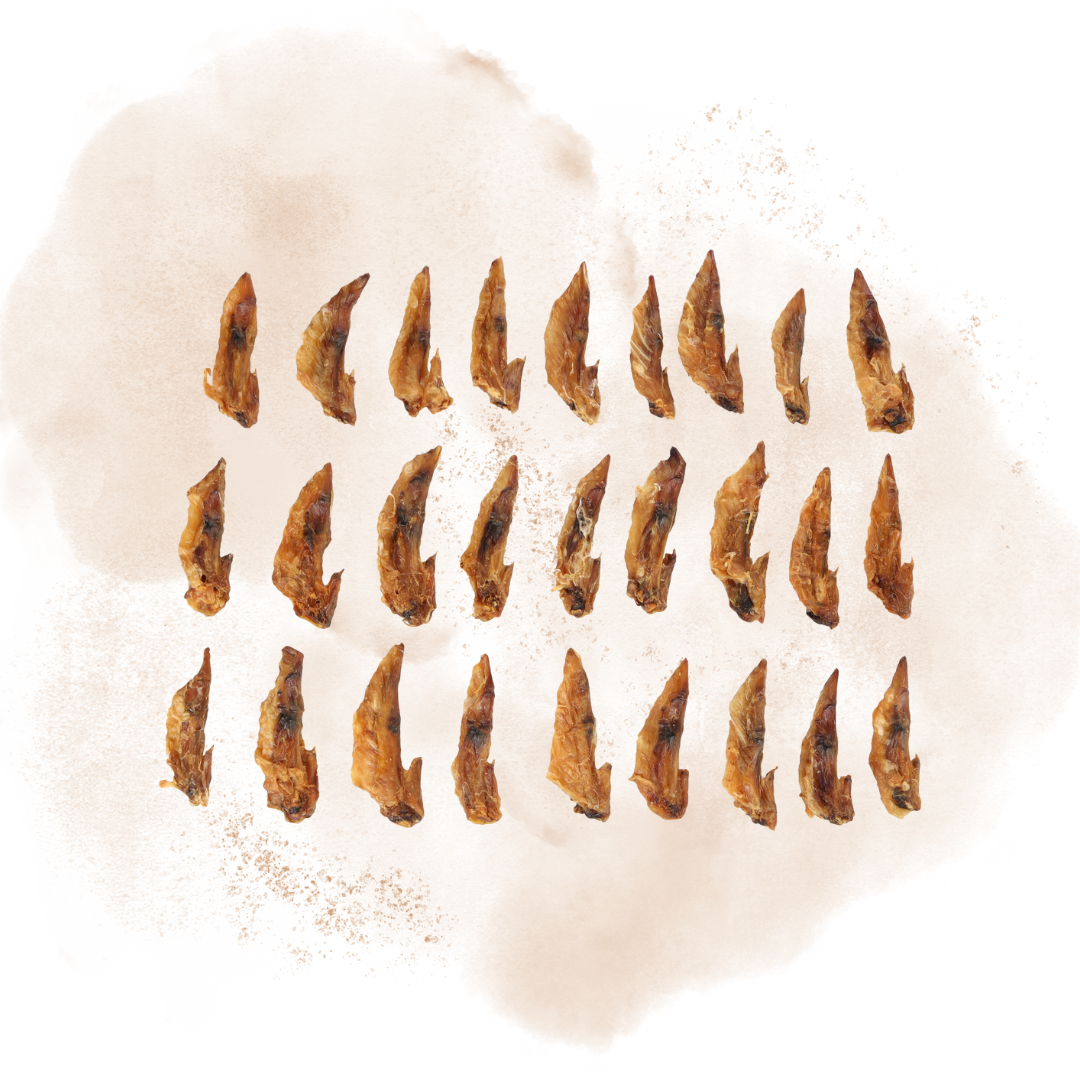 Snacks Nature Chicken Wing