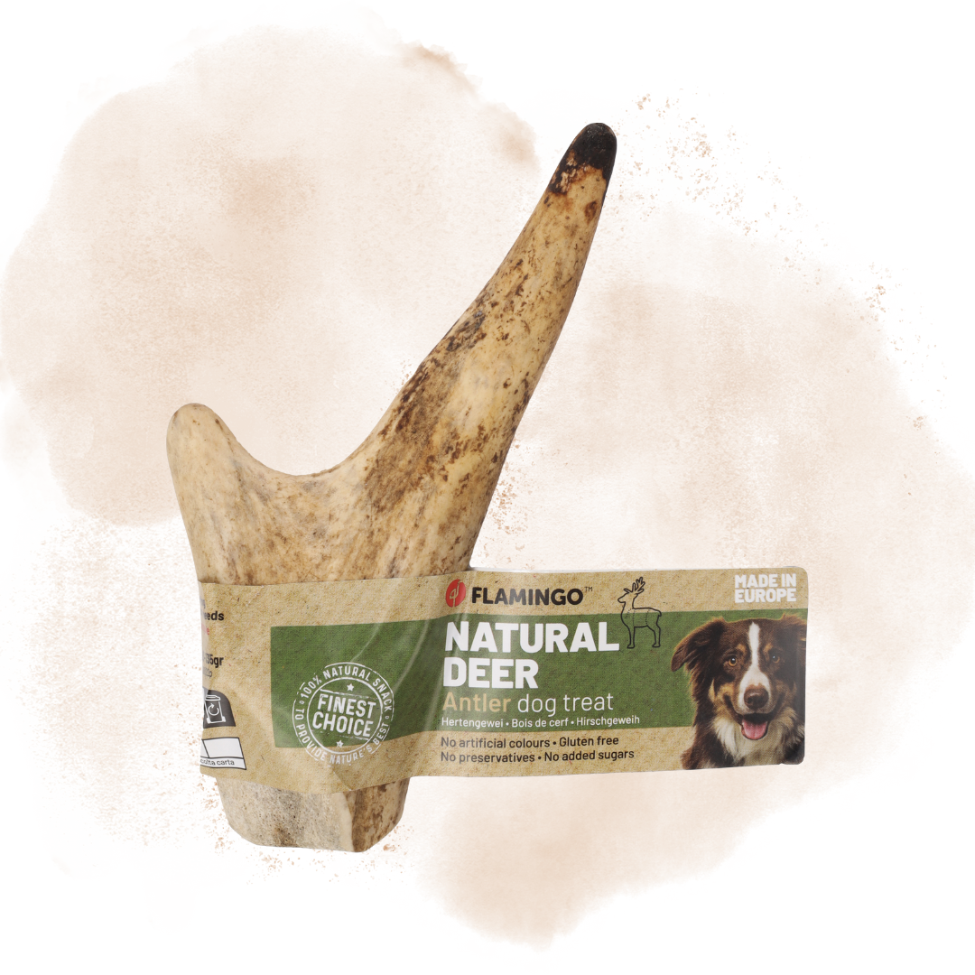 Snacks Nature Deer Antlers Hard