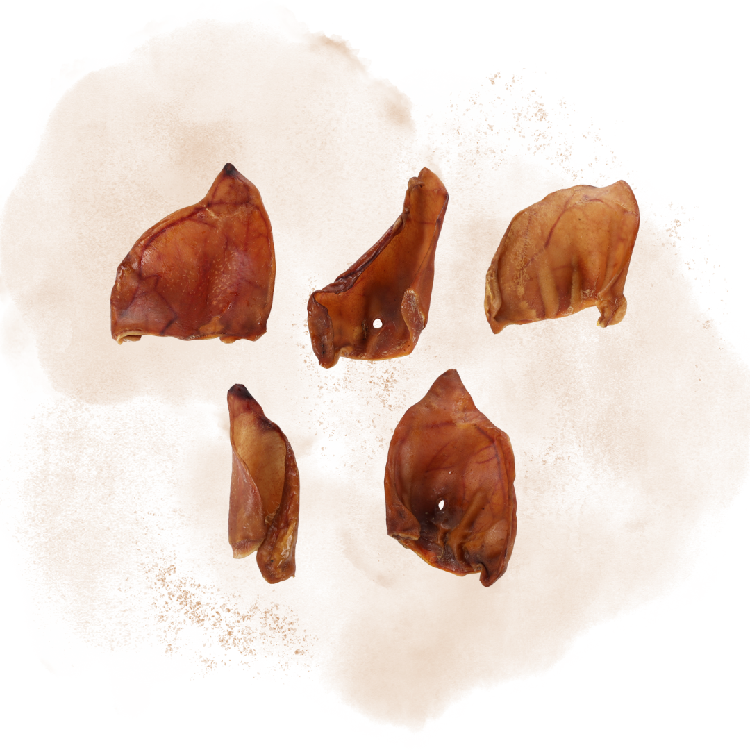Snacks Nature Pig Ear