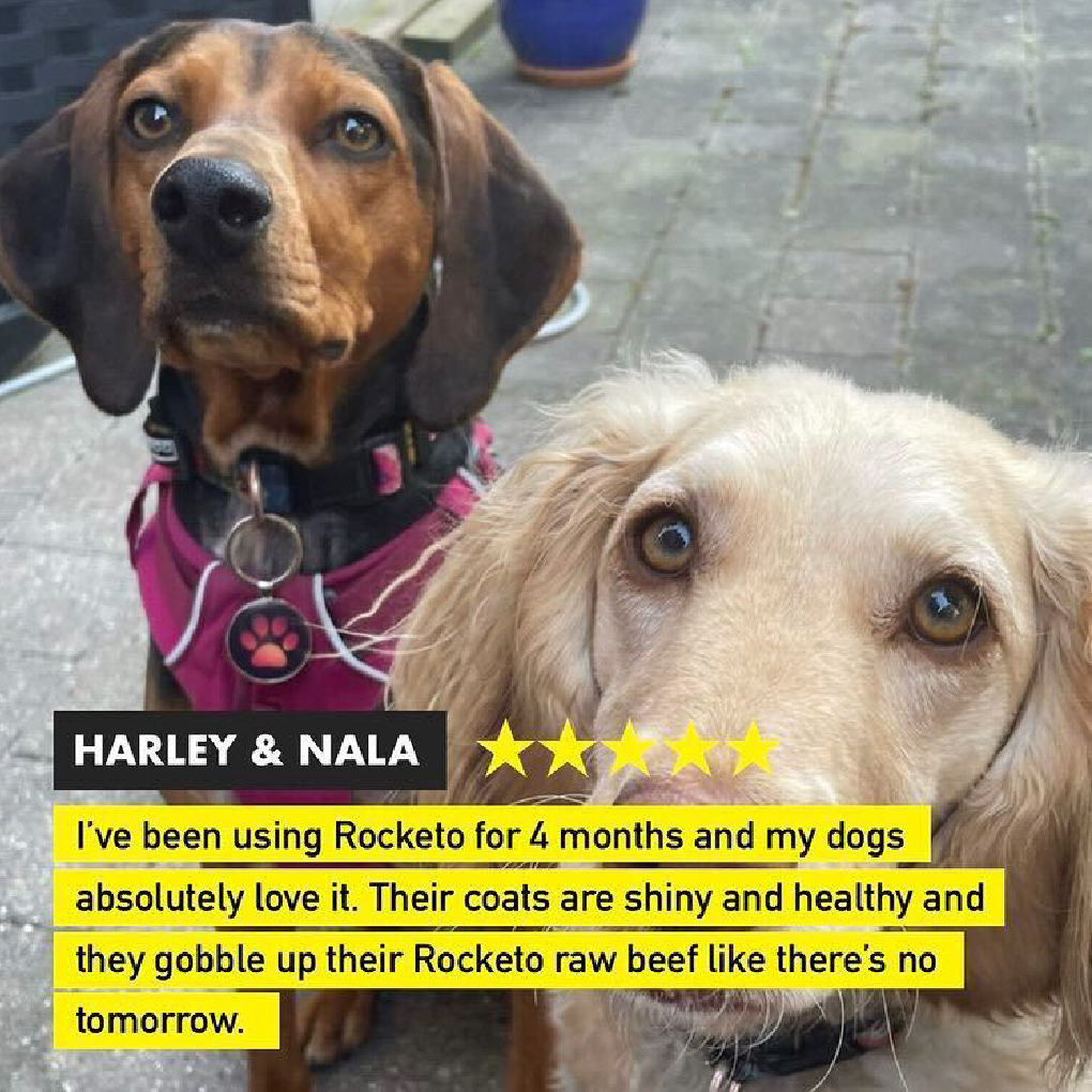 Rocketo Dog Food - Subscribe & Save