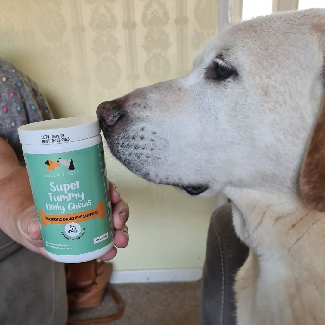 Super Tummy Daily Chews