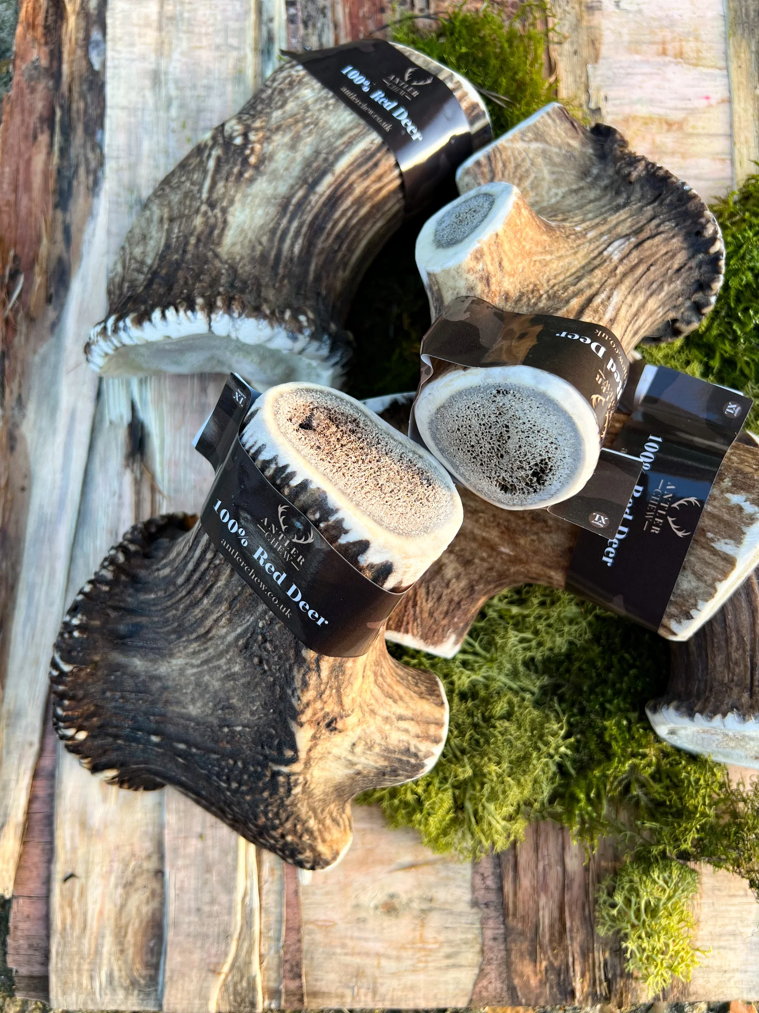 Deer Antler Chew