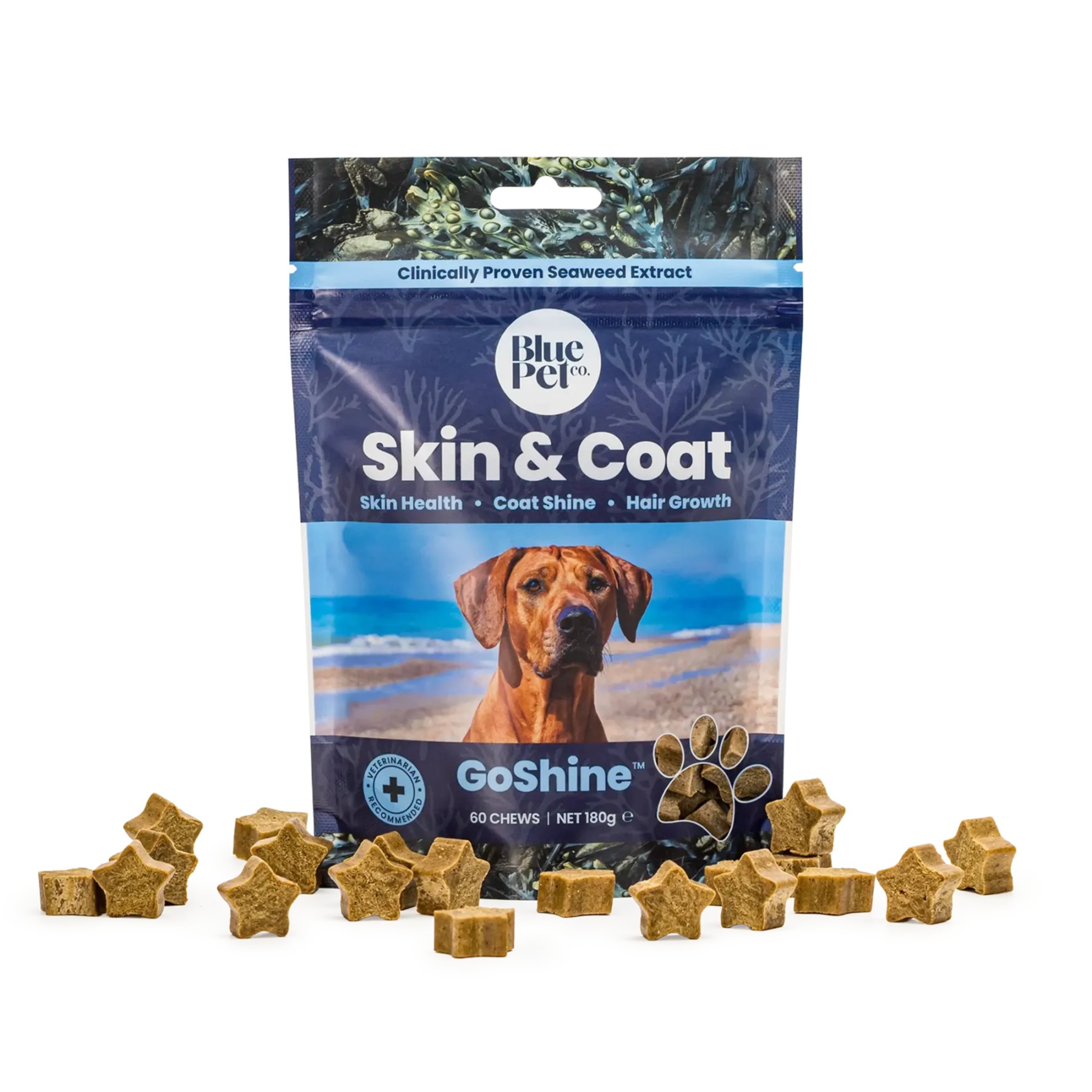 GoShine: Advanced Skin & Coat Support 60 Pouch Chews