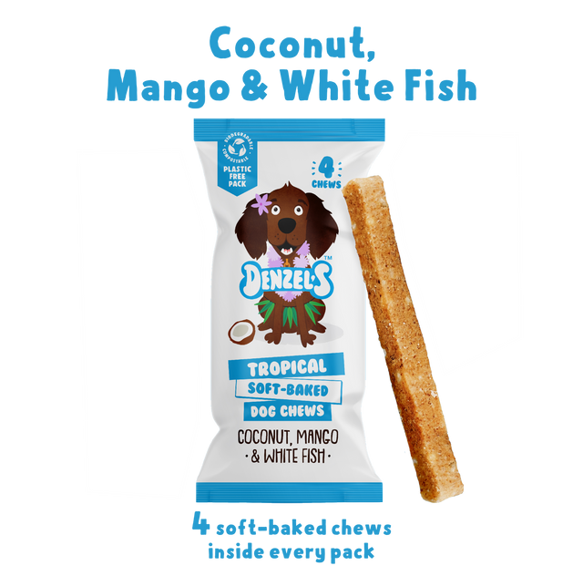 Tropical Soft-Baked Dog Chews (4 x sticks)