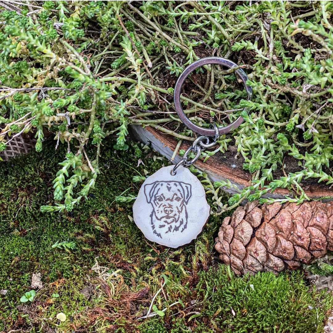 Border terrier antler key fob