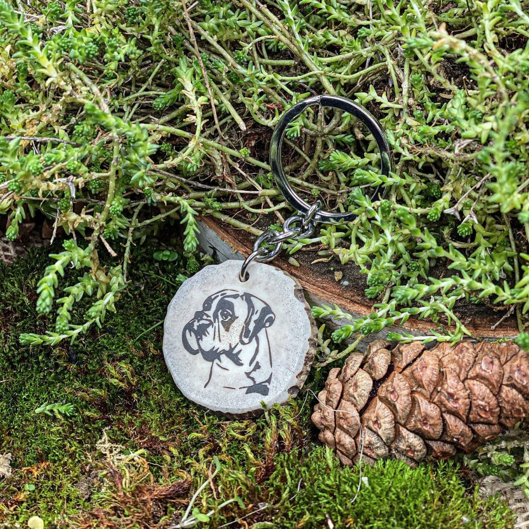 Boxer antler key fob