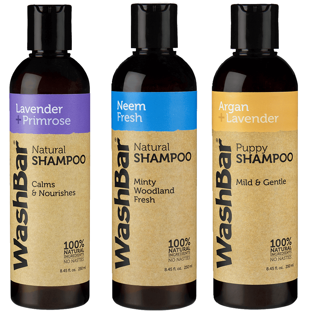 Take Fresh shampoo