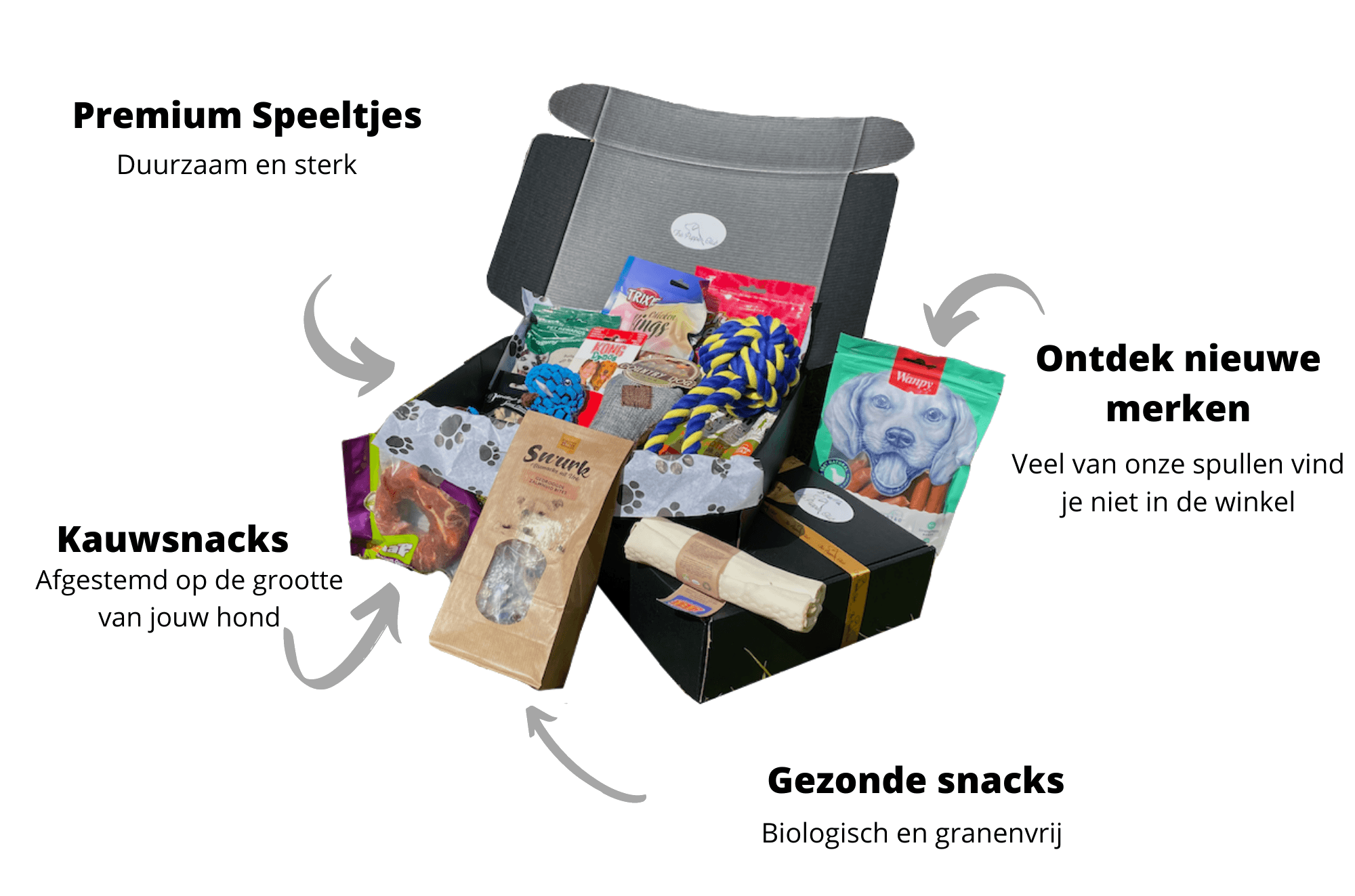 The Puppy Club Monthly Box