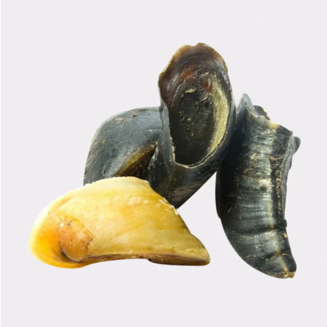 Cow Hooves 3pcs