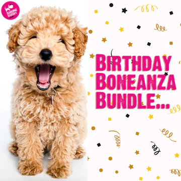 Birthday Boneanza Bundle
