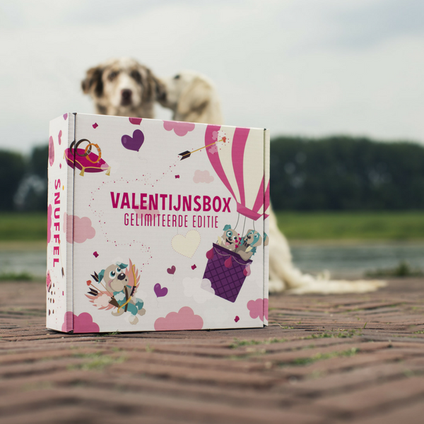 Snuffelbox Valentijnsbox: Love & Fun