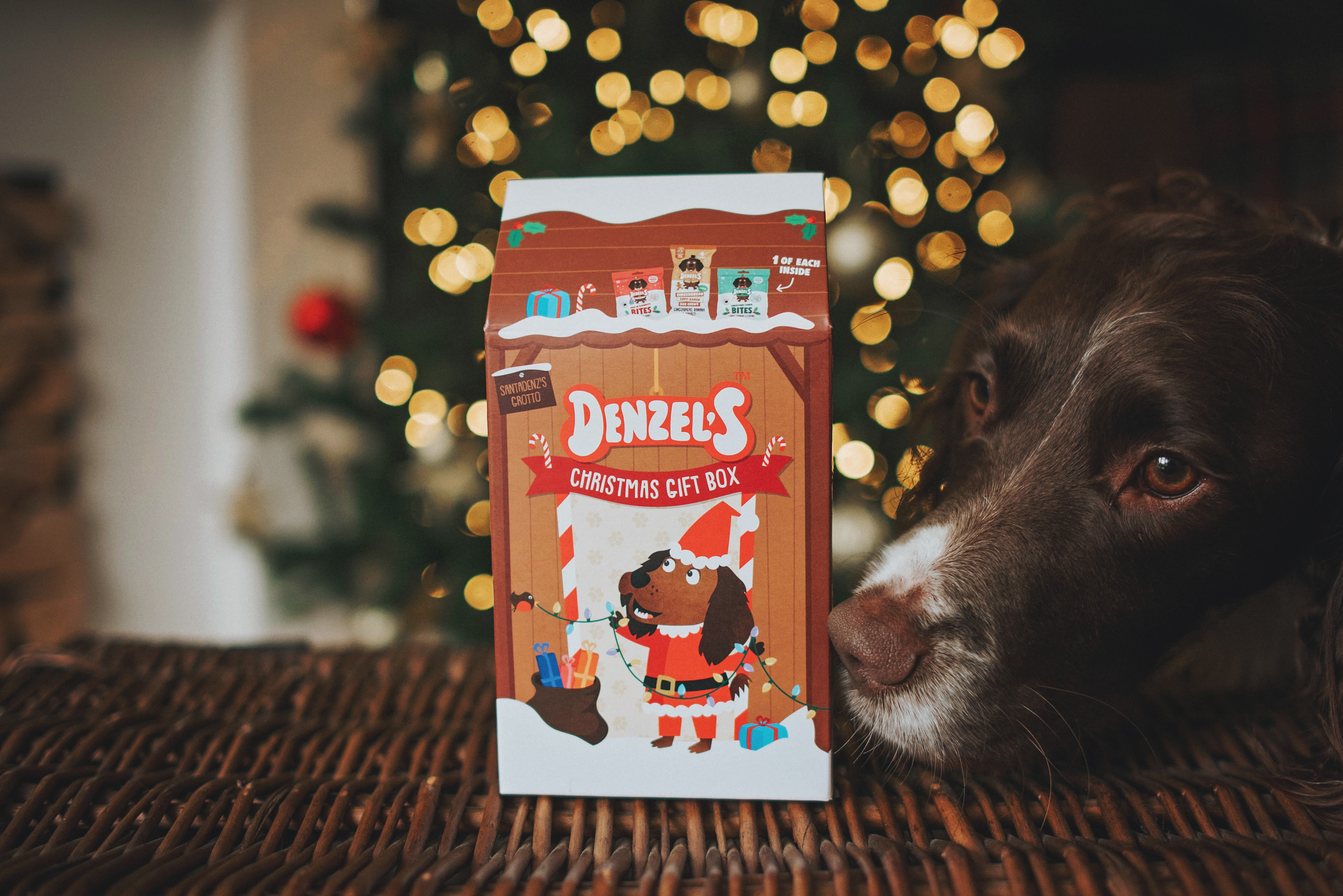 Denzel's Christmas Gifts