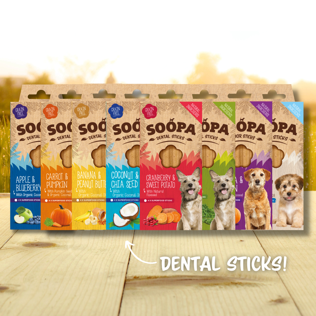 Irish Brand Soopa Pets LAUNCHES in the USA!!🐶🐾