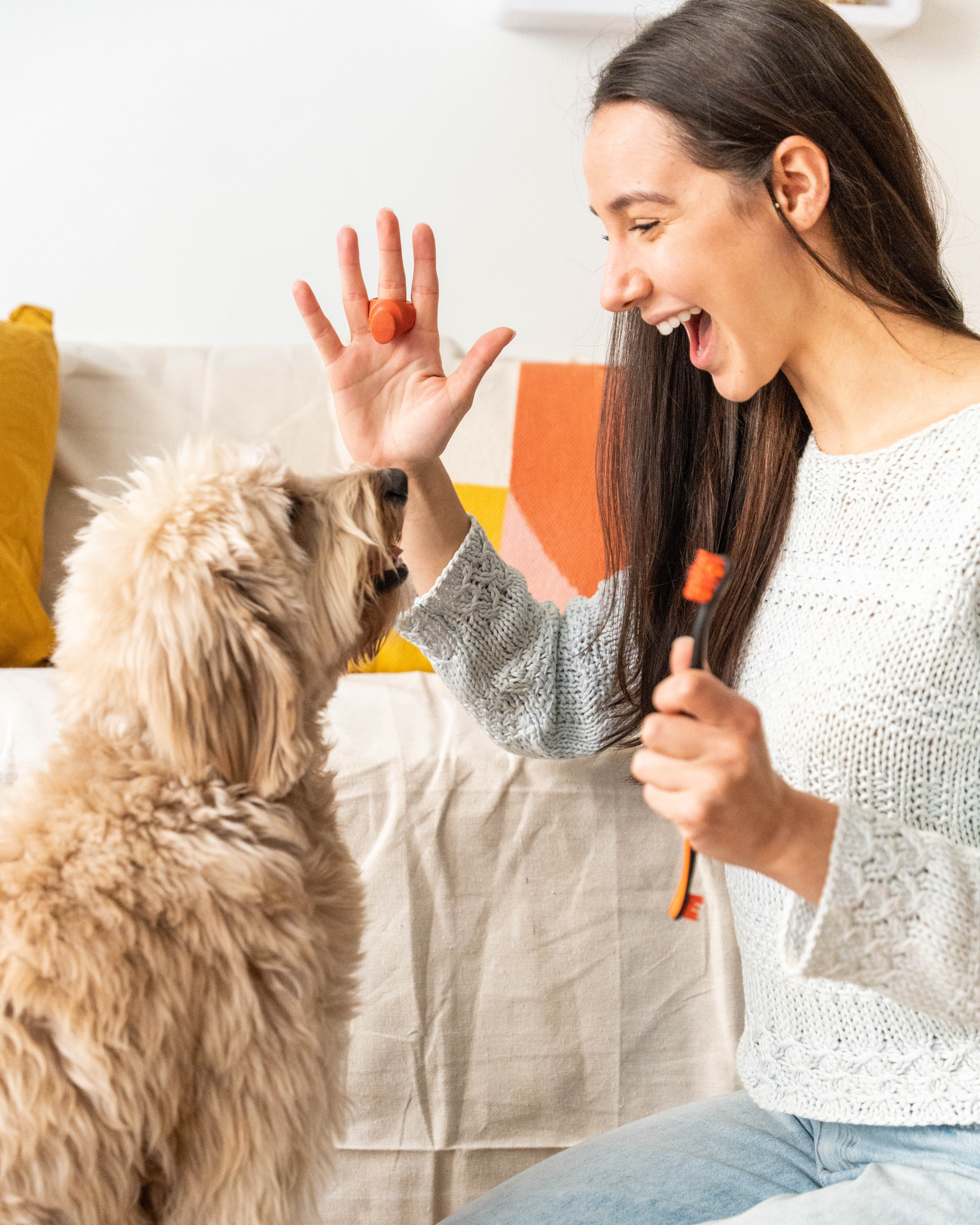 Paw Ready 'BiteBlock' to help brush those teef - 🐾 Join the Campaign and Spread Dogfluence!