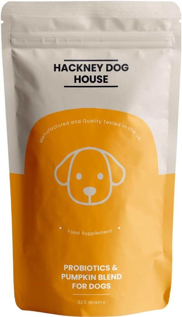 🎥 Promote Hackney Dog House's Pumpkin + Probiotic With A Reel 🎥