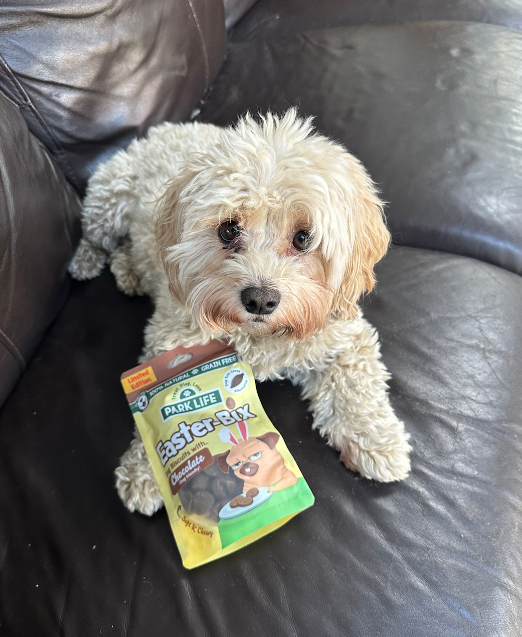 🐾 Yappy Easter with PARK LiFE: Time to have an Easter egg hunt with our Easter-Bix 🍫!
