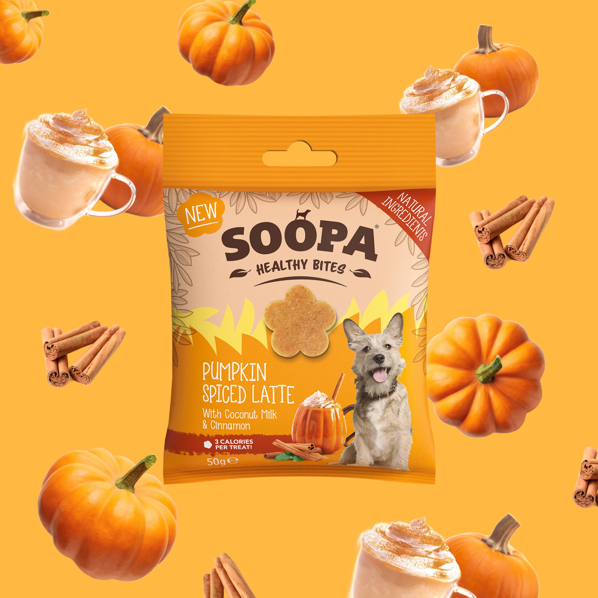 Fall for Pup’s Wellness with Soopa Pets' Pumpkin Spiced Latte Treats! 🍁