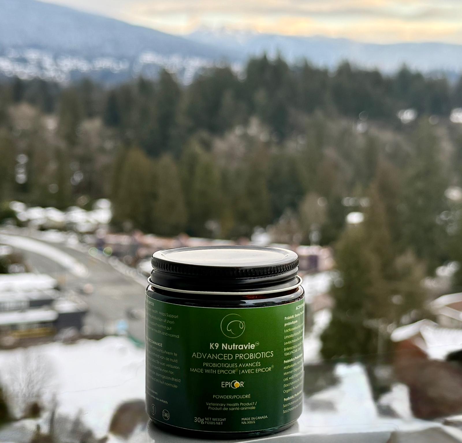 Calling All Dog Parents: Affiliate Collaboration Opportunity